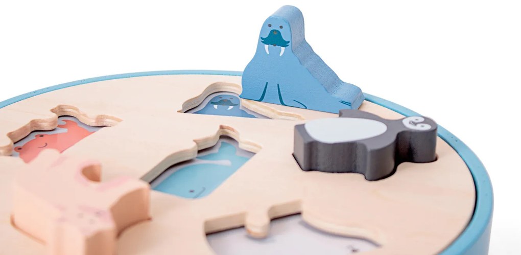 Scatola Animali da inserire