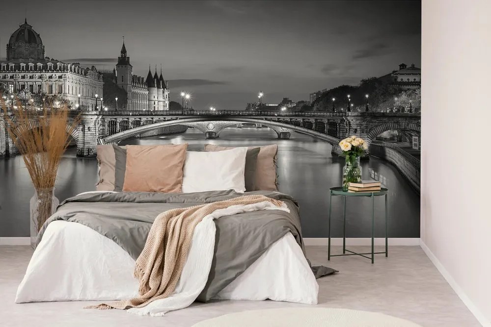 Carta da parati – Panorama abbagliante di Parigi in bianco e nero