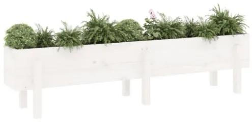 Fioriera Rialzata da Giardino Bianca 160x30x38 cm Massello Pino