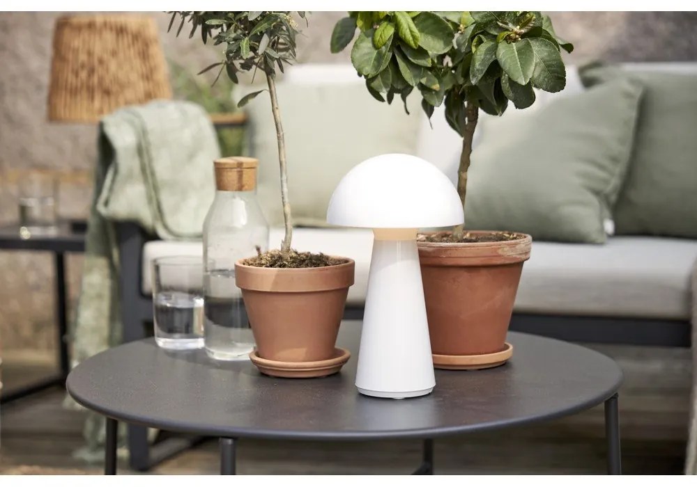 Lampada da tavolo dimmerabile a LED bianchi (altezza 28 cm) Mushroom - Star Trading