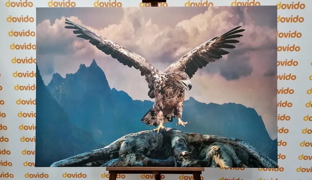 Stampa su tela – Aquila con ali spiegate sopra le montagne