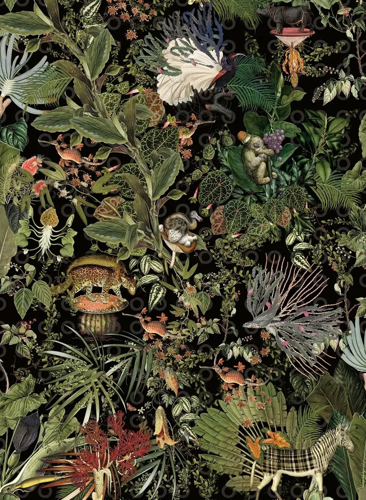 Moooi for Arte Carta da parati Menagerie of Extinct Animals - MO2071 - Raven
