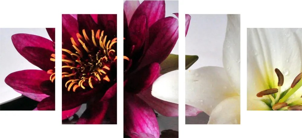 Quadri 5 pezzi – Fiori in ciotola