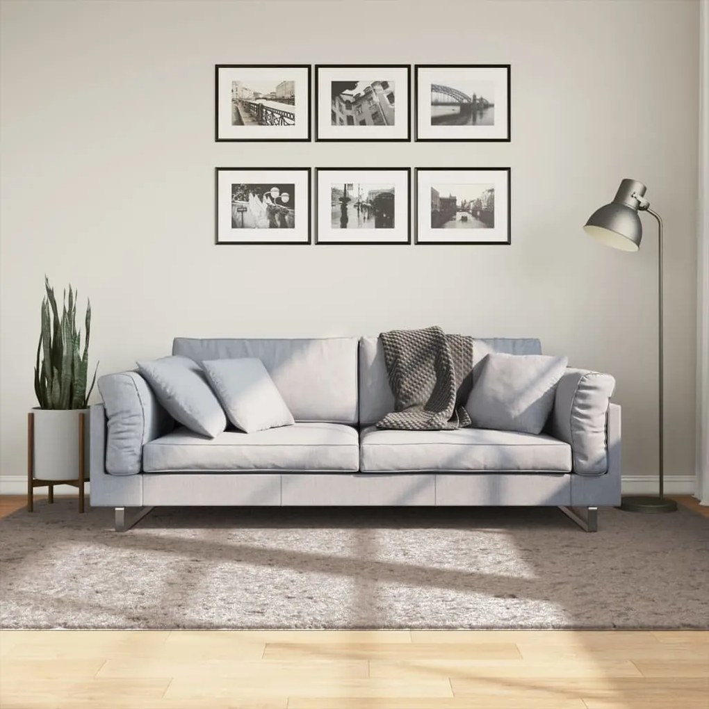 Tappeto Shaggy Pamplona A Pelo Lungo Moderno Beige 160x230 Cm /