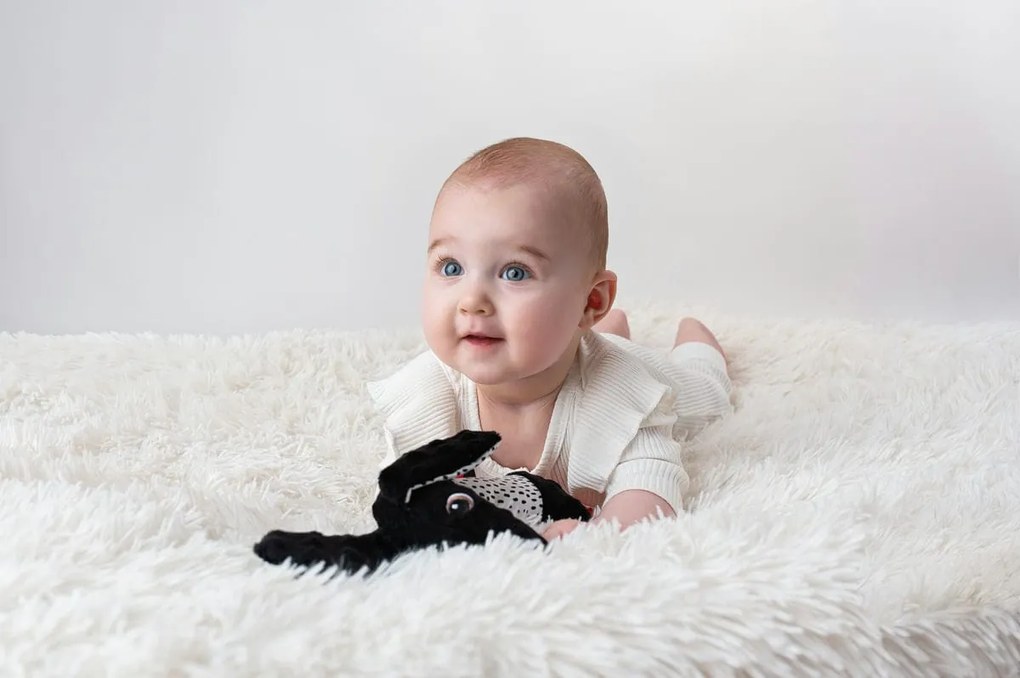 Mom's Care – Jami, il cagnolino in colori contrastanti con fischietto e massaggiagengive