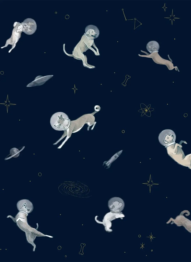 Coordonne Carta da parati panoramica Doggy Gravity - Night