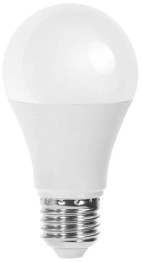 Lampadina Led E27 12-24V A70 a bulbo 12W Bianco freddo 6500K Wisdom