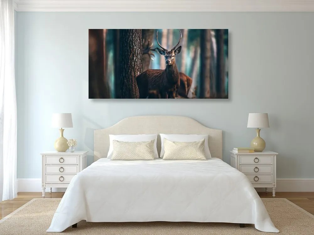 Quadro su tela – Cervo nel bosco