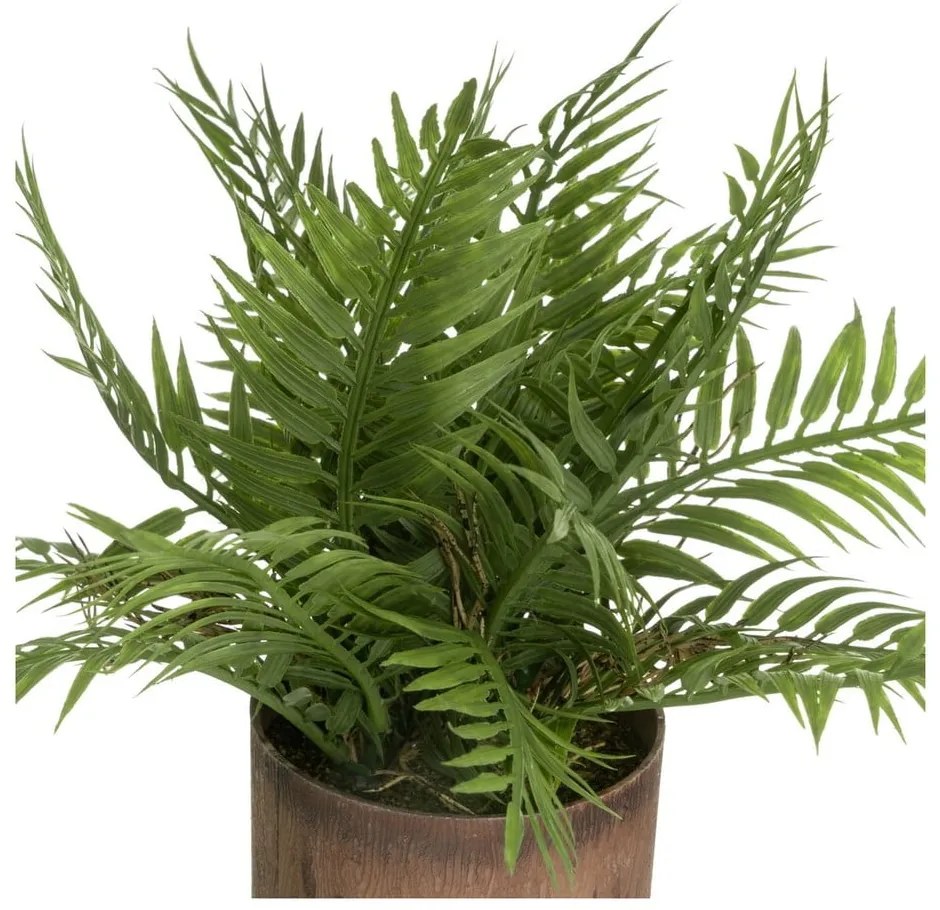 Piante artificiali in set da 2 (altezza 22 cm) - Casa Selección