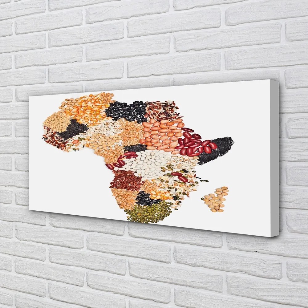 Quadro su tela Mappa delle spezie 100x50 cm