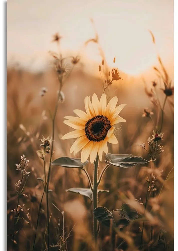 Quadro su tela – Girasoli al tramonto
