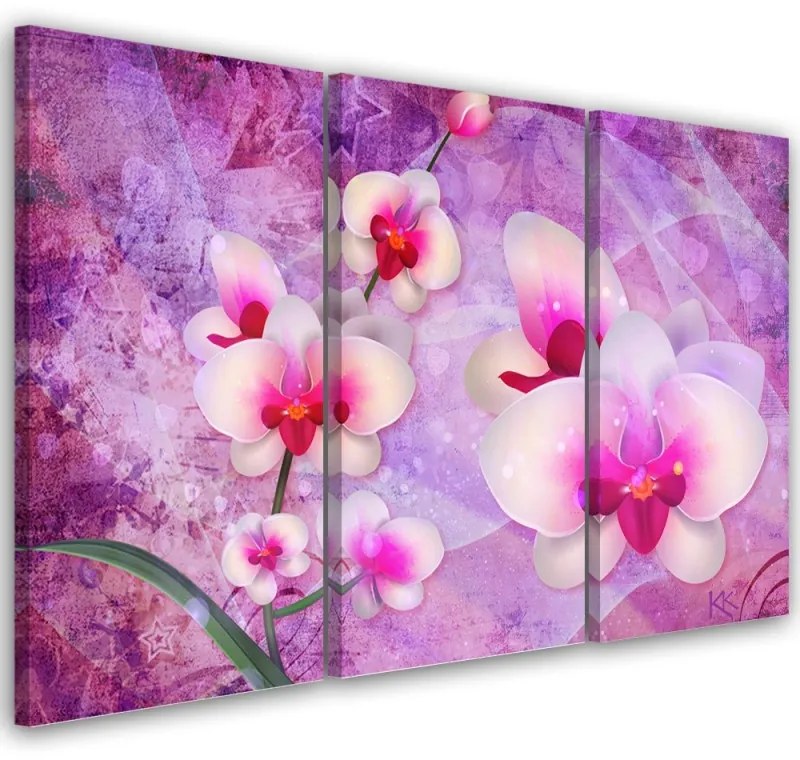 Quadro su tela 3  pannelli, Astrazione dei fiori di orchidea  Dimensioni 60x40