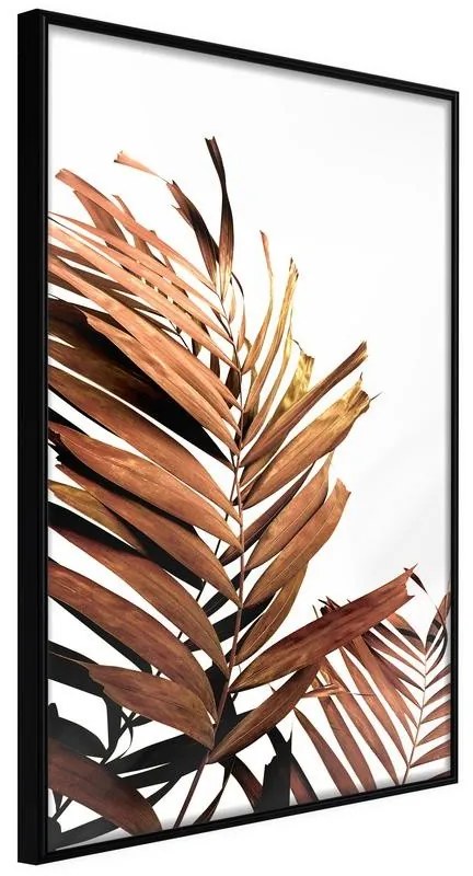 Poster  Copper Palm  Cornice Quadri Cornice nera, Larghezza x Altezza Home decor 40x60