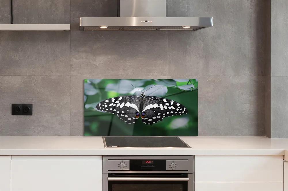 Pannello paraschizzi cucina Foglie di farfalla colorate 100x50 cm
