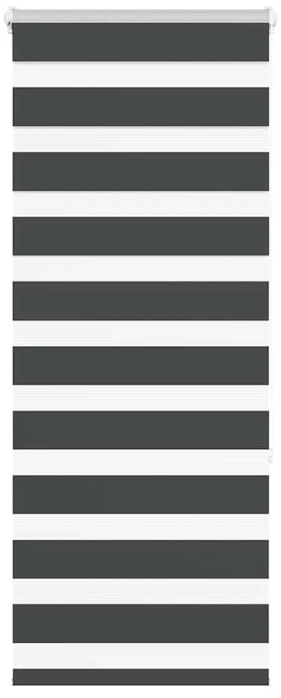 Tenda A Rullo Zebra Nero Larghezza Tessuto 50,9 Cm Poliestere /