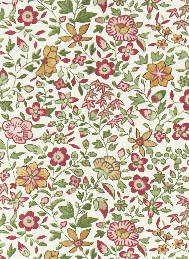 Clarke & Clarke Carta da parati Gamthi - Sage/ Blush