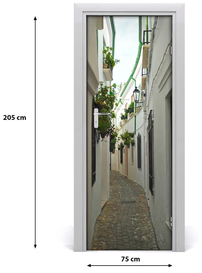 Rivestimento Per Porta Strade dell'Andalusia 75x205 cm