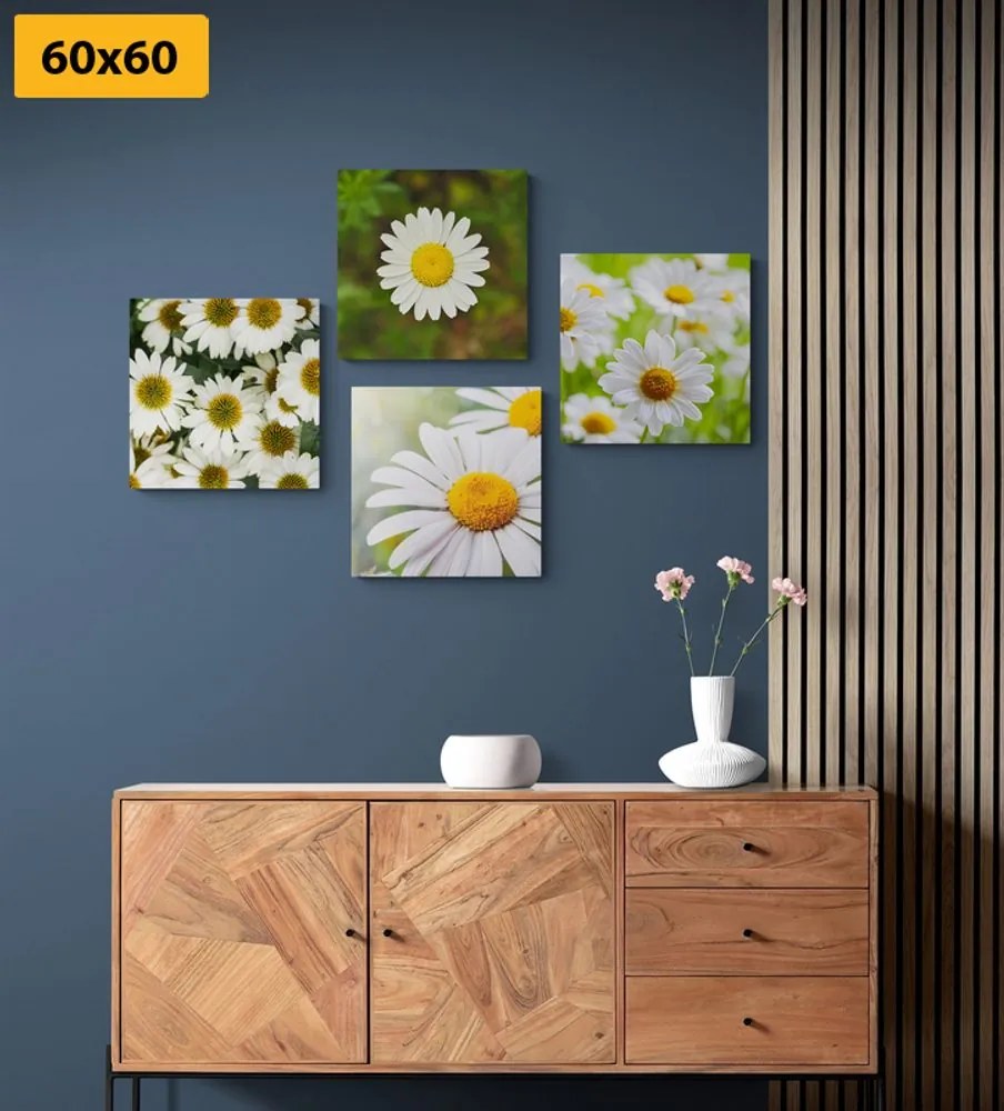 Set di quadri – Fiori incantevoli