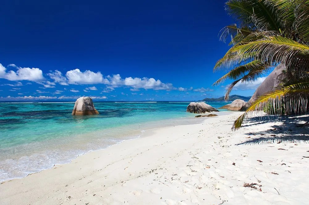 Carta da parati – Spiaggia Anse Source