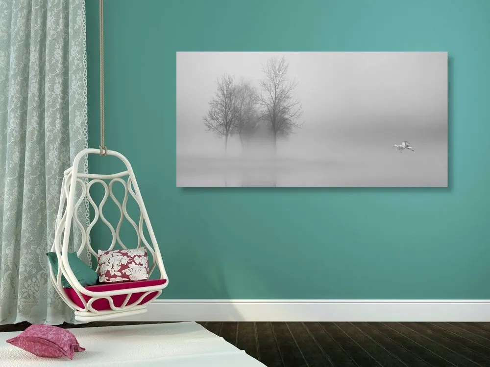 Quadro su tela – Alberi nella nebbia in bianco e nero