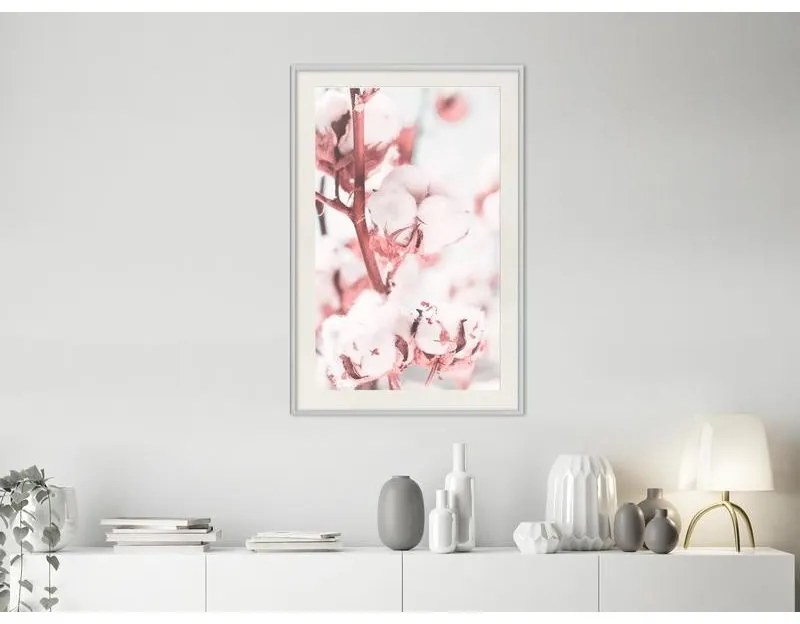 Poster Cotton Flowers