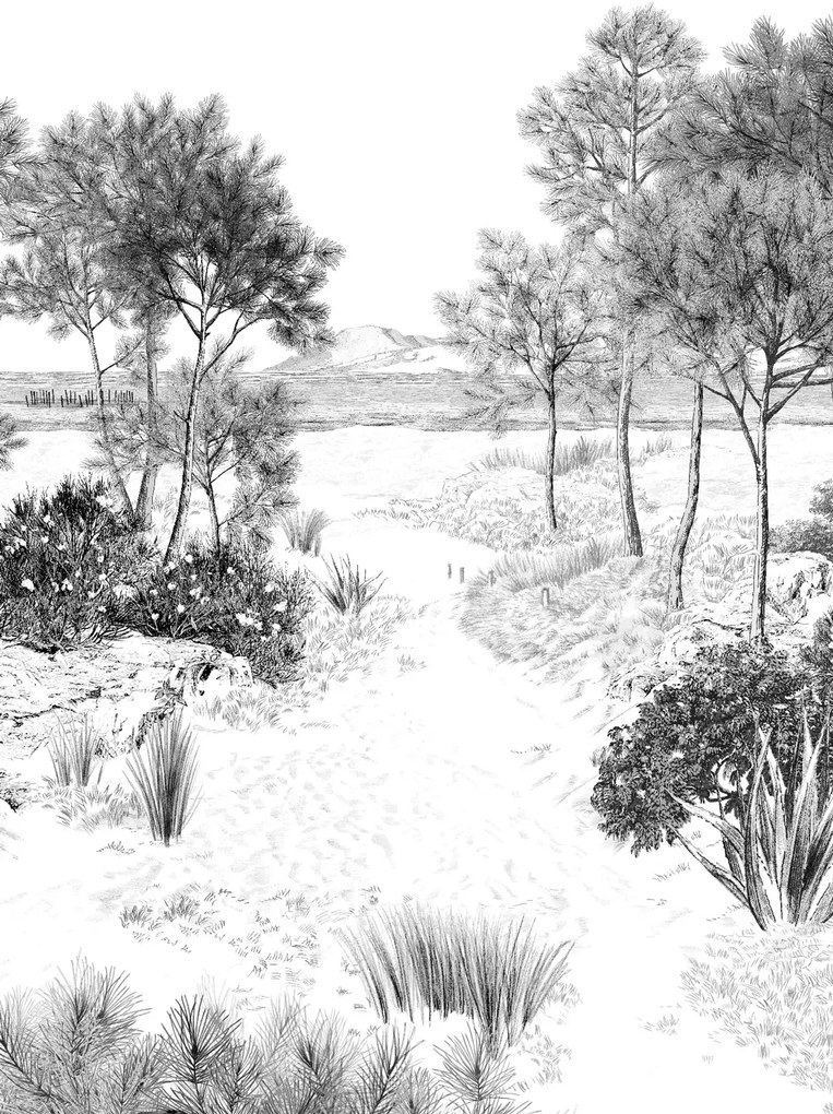 Isidore Leroy Carta da parati panoramica Dune Gris - Gris - Bahnen 1/2/3