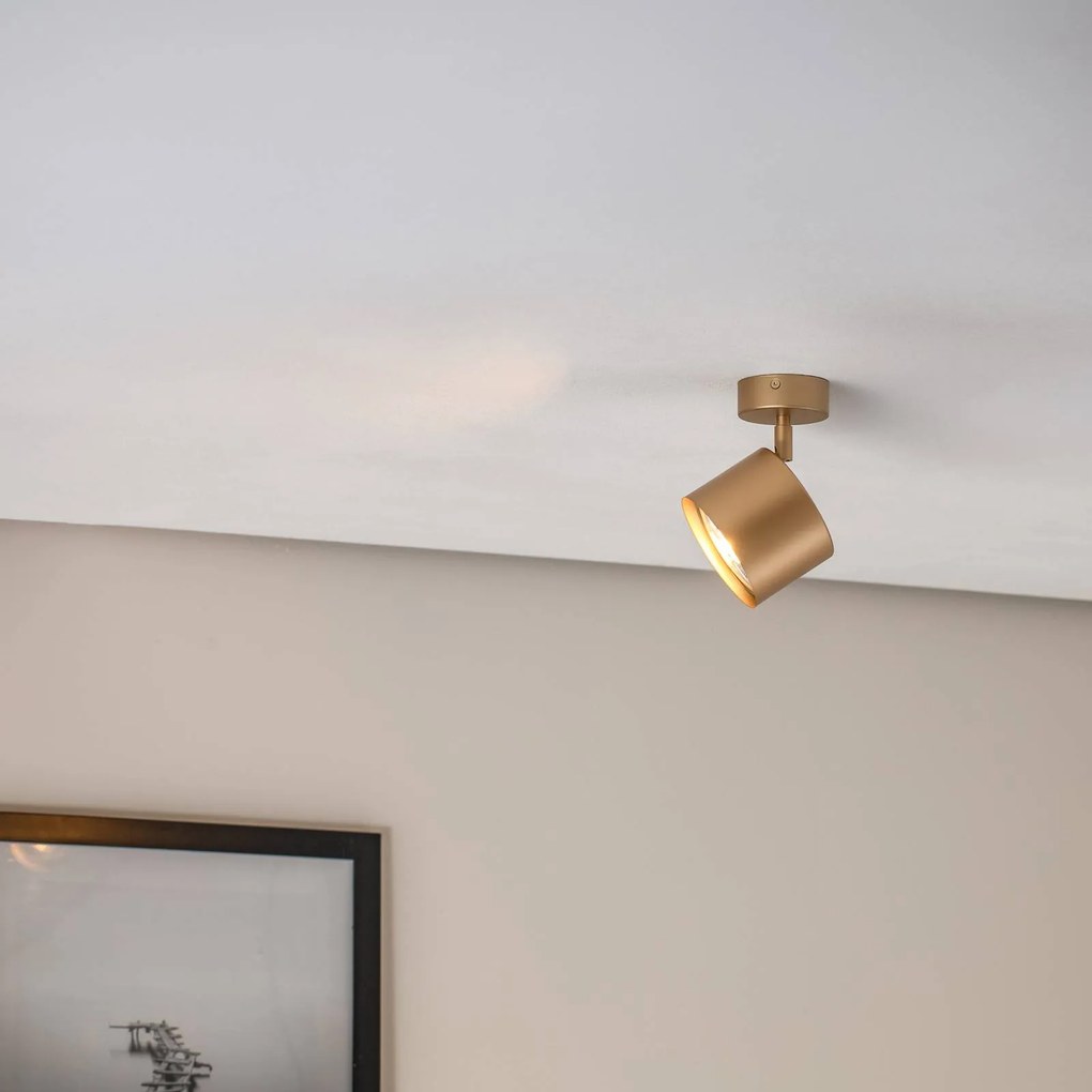 Argon Faretto da soffitto Chloe orientabile 1 luce, oro