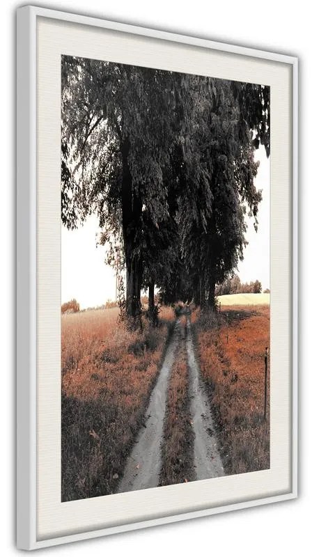 Poster  Field Path  Cornice Quadri Cornice nera con pass-partout, Larghezza x Altezza Home decor 40x60