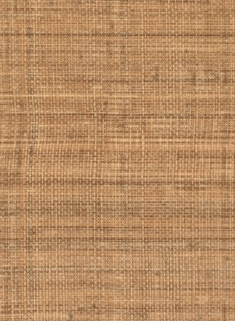Élitis Carta da parati Abaca - VP 983 17