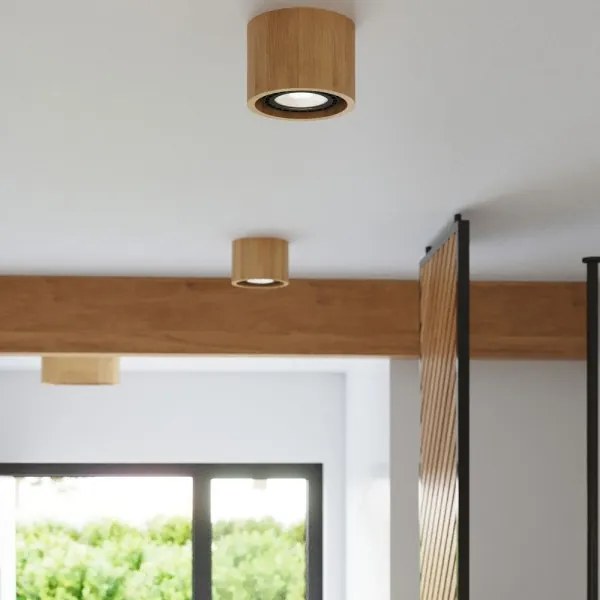 Sollux SL.0913 - Plafoniera BASIC AR111 1xGU10/40W/230V faggio