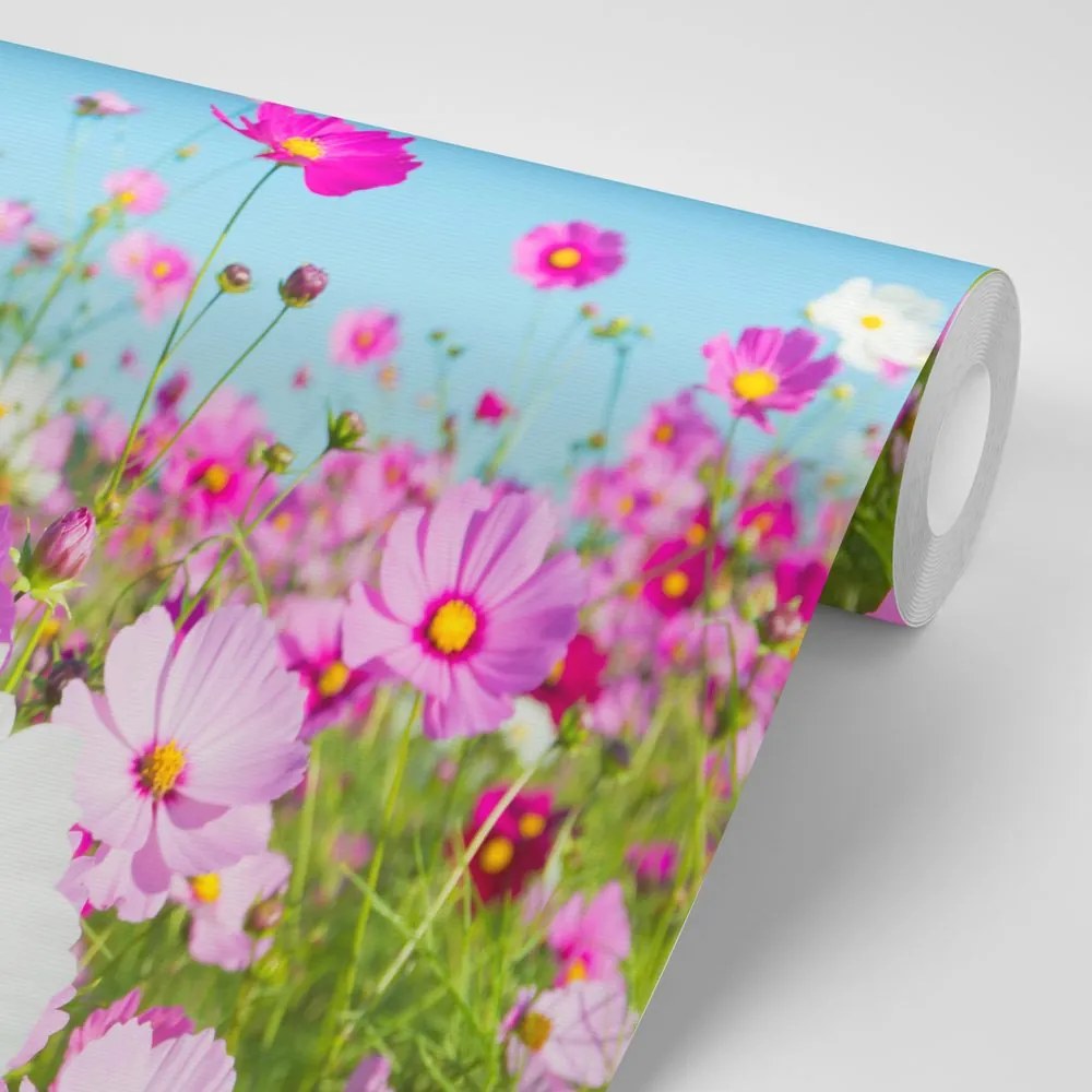 Carta da parati – Prato di Fiori Primaverili
