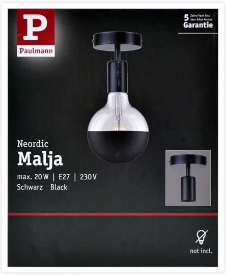 Paulmann 79760 - Plafoniera HALDOR 1xE27/20W/230V