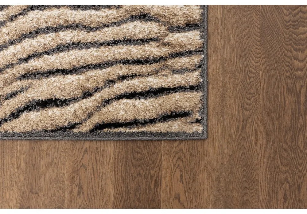 Tappeto marrone 160x220 cm Avanti - FD