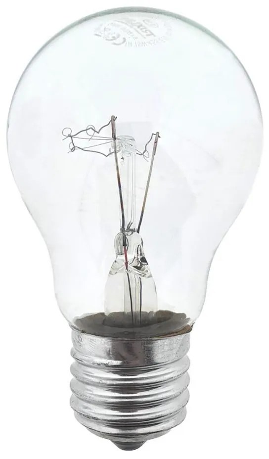 Lampadina per impieghi gravosi E27/75W/230V 2700K
