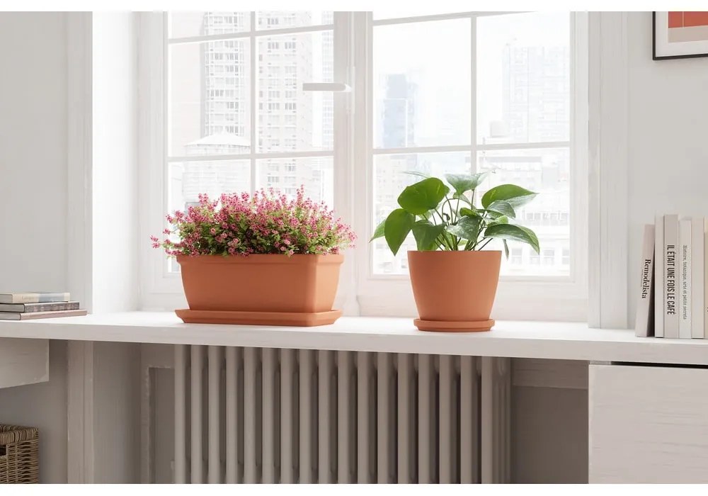 Piattino in terracotta 52 cm - Artevasi