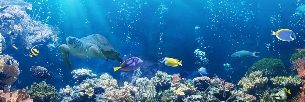 Quadro su tela – Pesci tropicali
