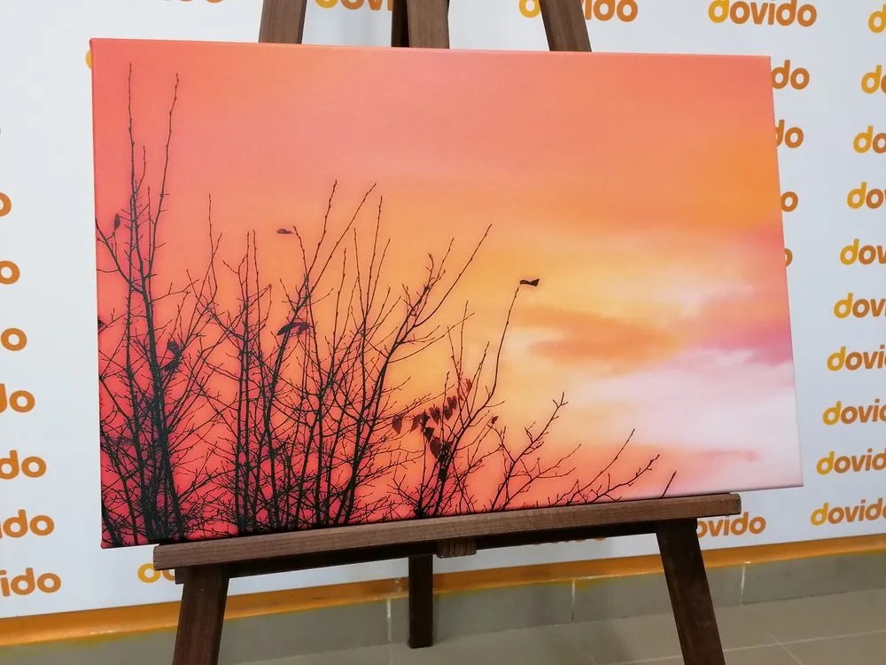 Quadro su tela – Cielo colorato