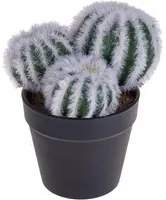 Set 4 Cactus Artificiale X 3 con Vaso Altezza 12 cm