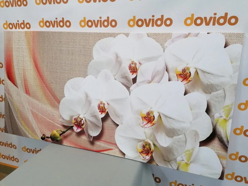 Quadro su tela – Orchidea bianca su tela