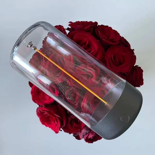 Zuma Line 1001 - Lampada LED ricaricabile dimmerabile ESTERNO LED/0,5W/230V nera