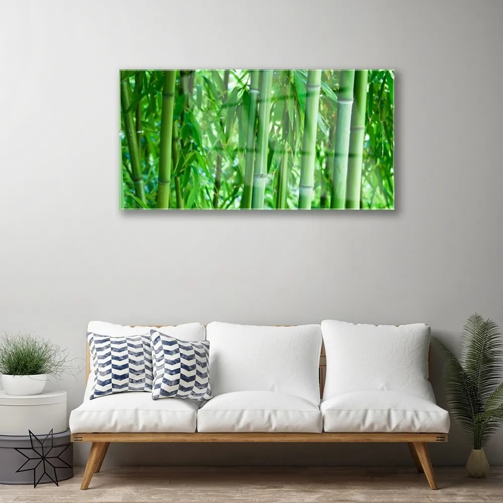 Quadro in vetro Pianta a stelo di bambù 100x50 cm