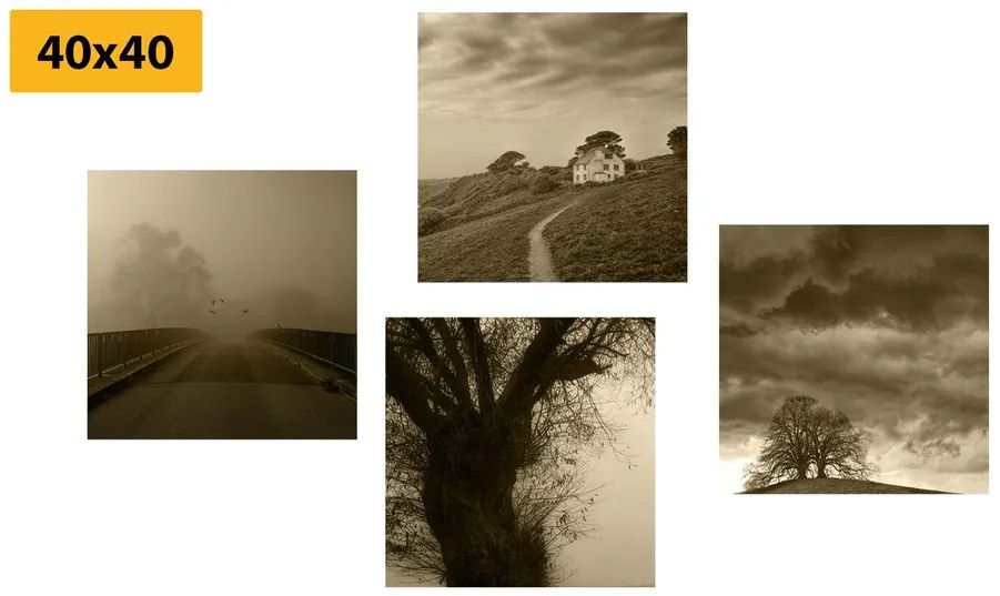 Set di quadri – Natura misteriosa in versione seppia