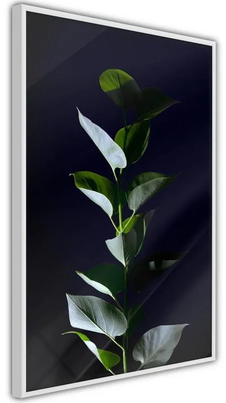 Poster Floral Elegance