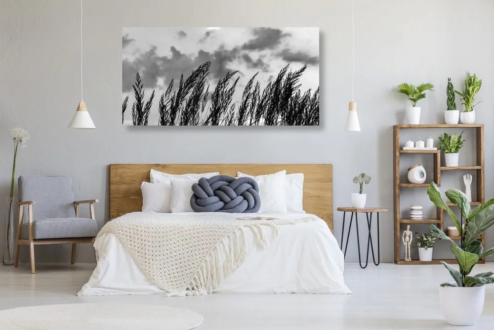 Quadro su tela – Erba in bianco e nero