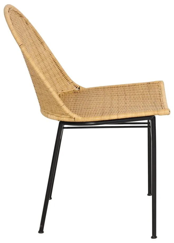 Sedia da giardino in rattan Sofia - Bonami Essentials