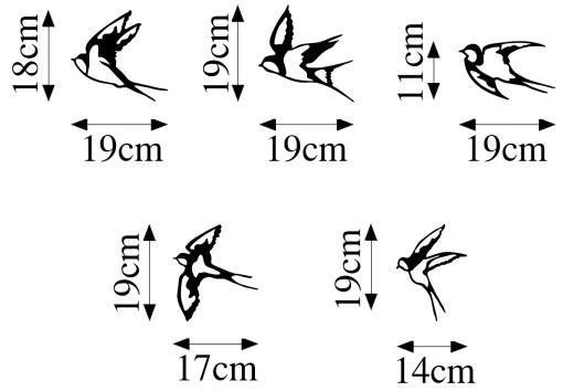 SET 5x Uccelli per decorazione murale