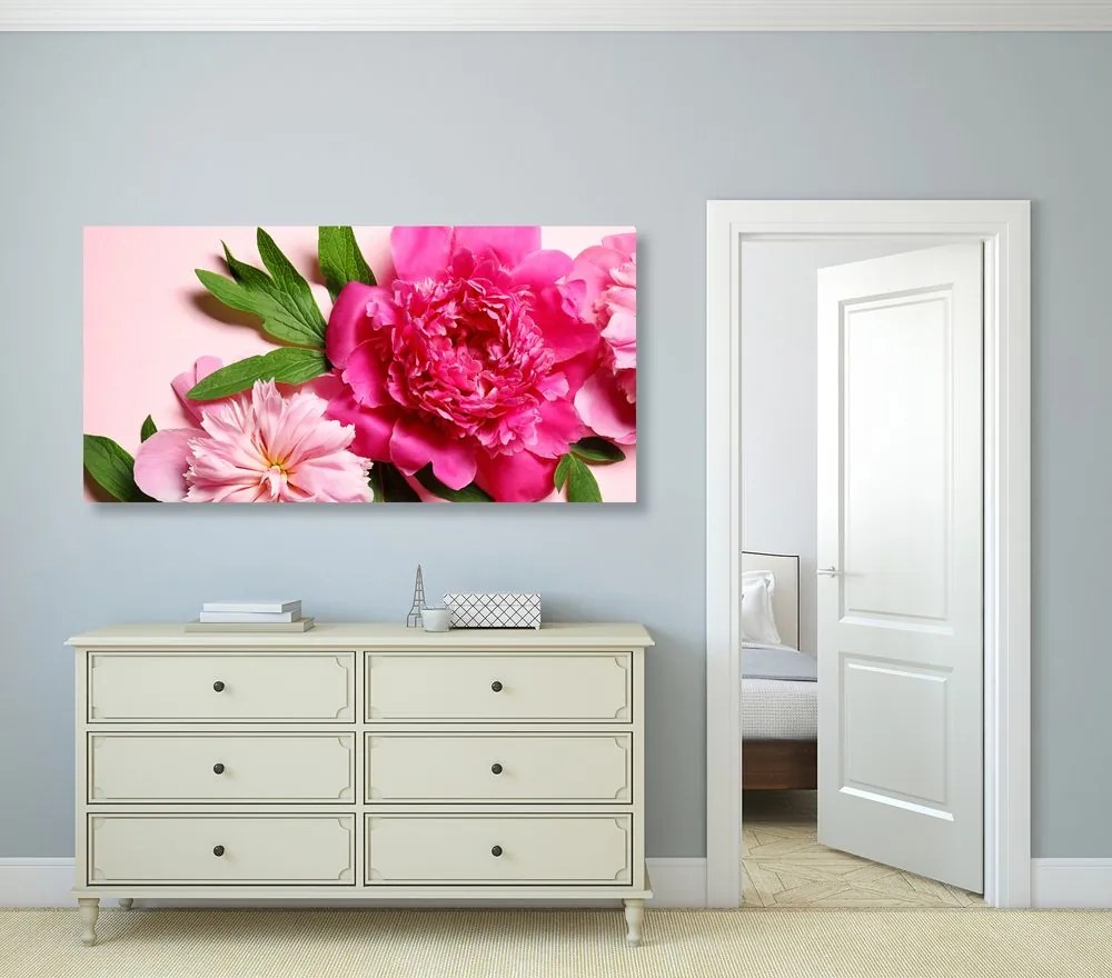 Quadro su tela – Peonie in rosa