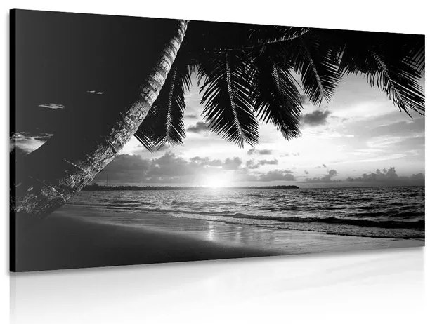Stampa su tela – Alba sulla spiaggia caraibica in bianco e nero