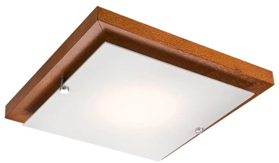 Lampada da soffitto 1xE27/60W/230V