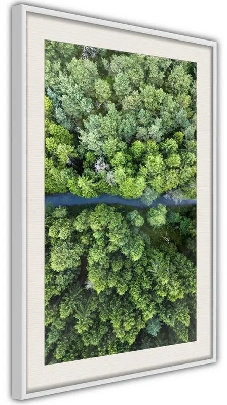 Poster  Forest from a Bird's Eye View  Cornice Quadri Cornice d'oro, Larghezza x Altezza Home decor 30x45